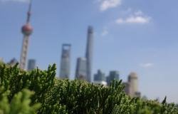Shanghai skyline behind green foliage